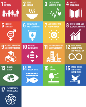 SDG logos